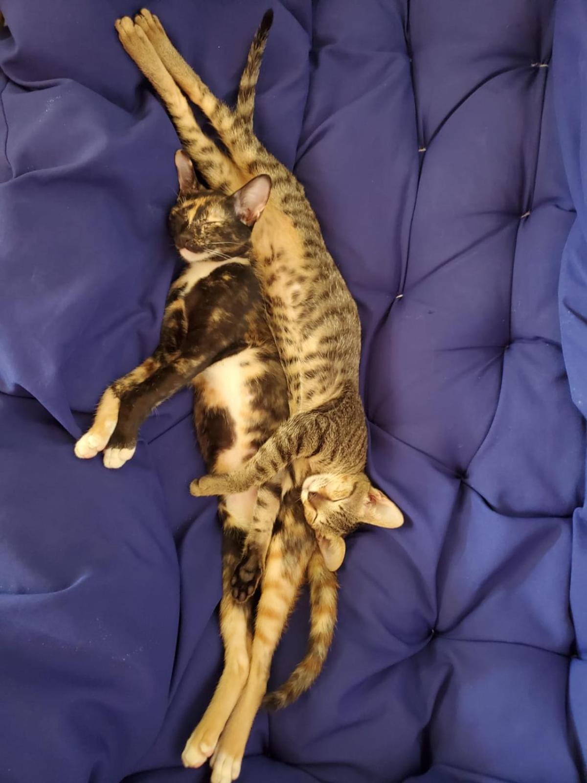 Vagabonds Pansiyon Kaoh Touch Dış mekan fotoğraf