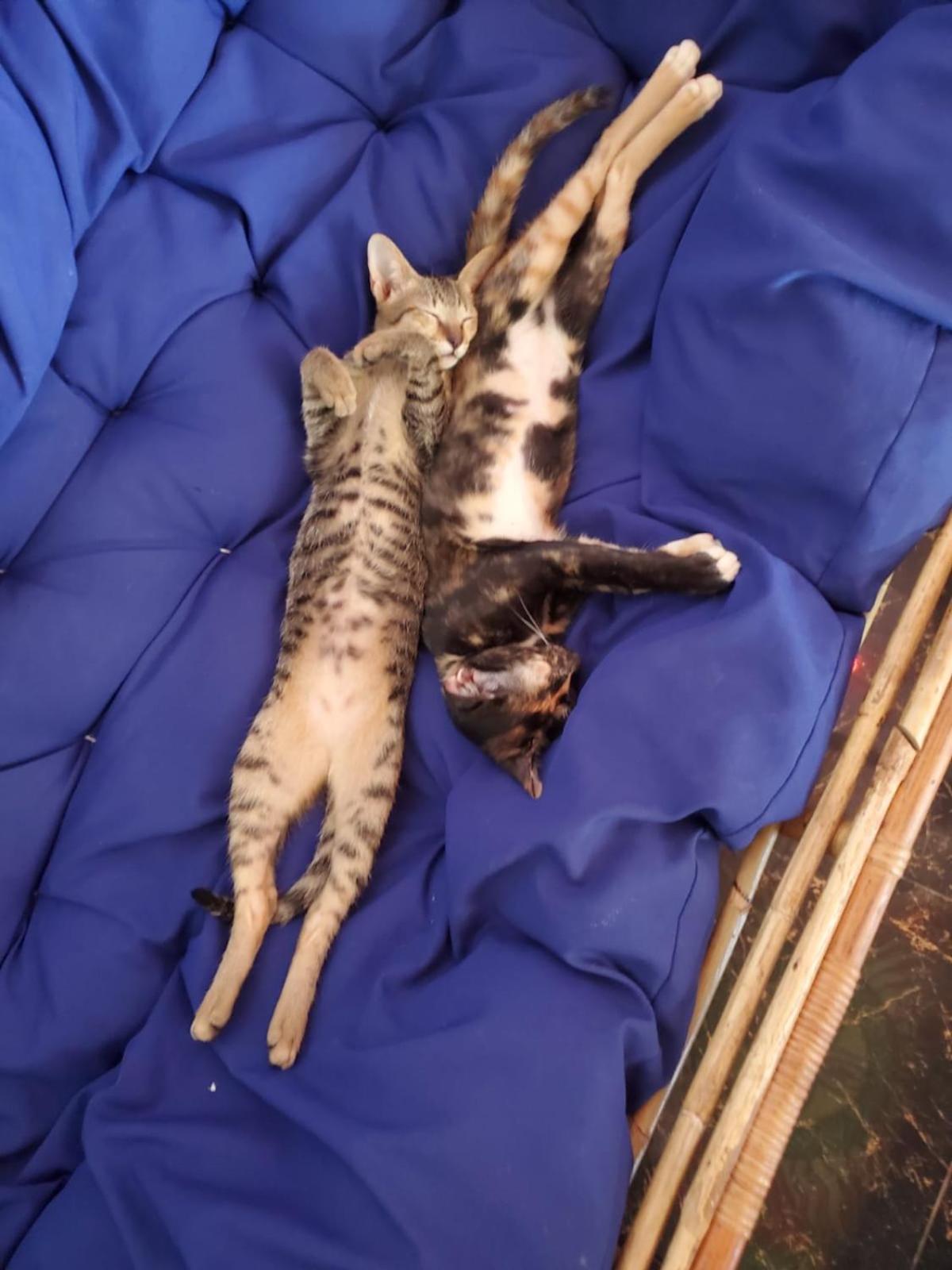 Vagabonds Pansiyon Kaoh Touch Dış mekan fotoğraf